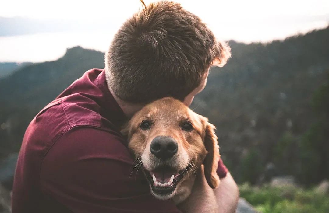 Pet Loss Coach Training Online A Path to Helping Others Heal from Grief